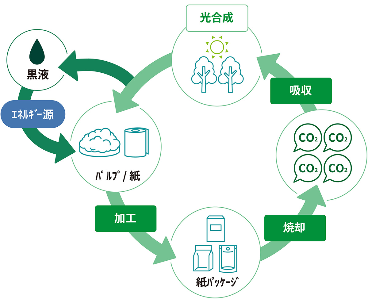 紙パッケージを使うと、なぜCO₂排出量を削減できる？